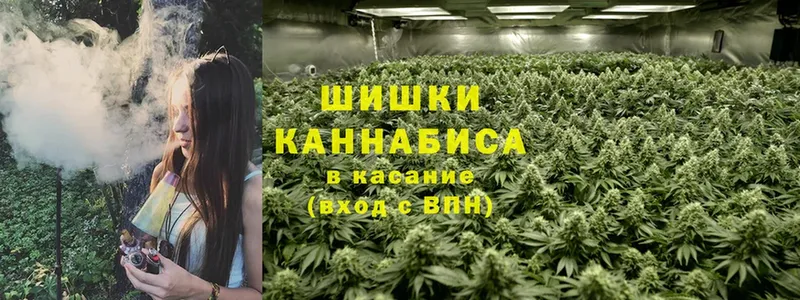 мориарти наркотические препараты  купить наркотик  Киреевск  Шишки марихуана Amnesia 